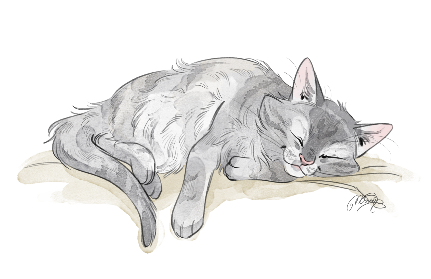 chat endormi -Veillées du Poitou (éditions La Geste).png